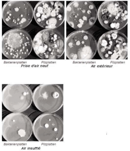 bacteries