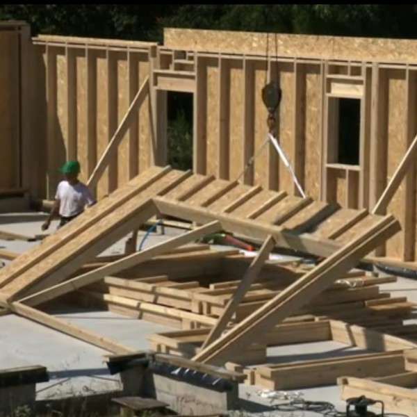 Montage des parois ossature bois sur site