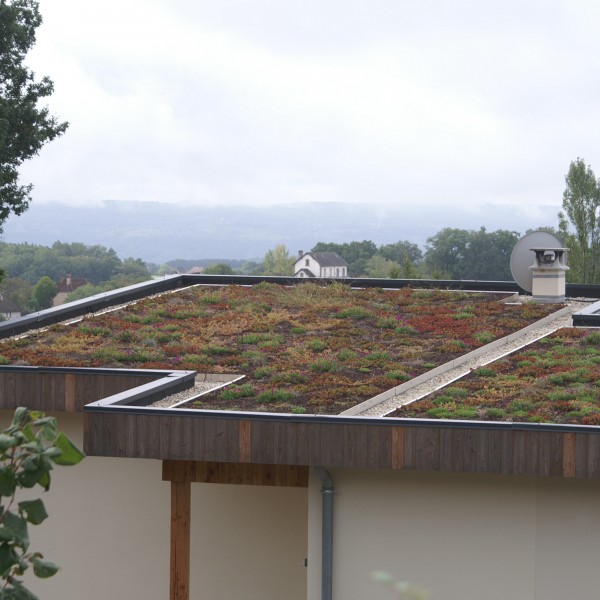 Toiture végétalisée